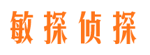 山城侦探公司